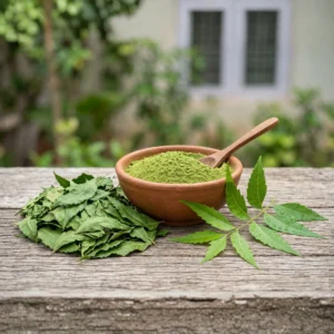 Solar dehydrated green margosa neem leaves for wholesale